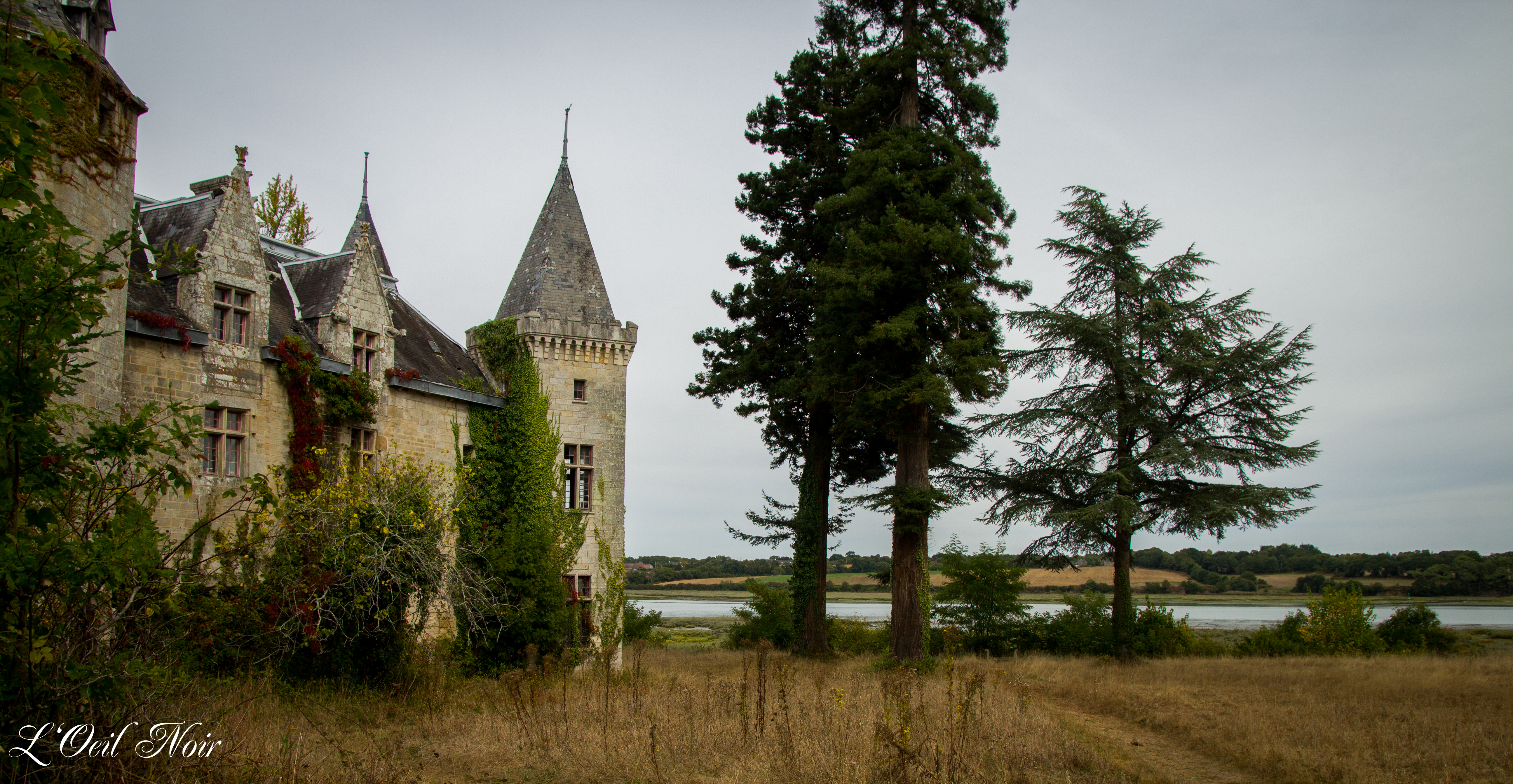 L' Oeil Noir Photographie